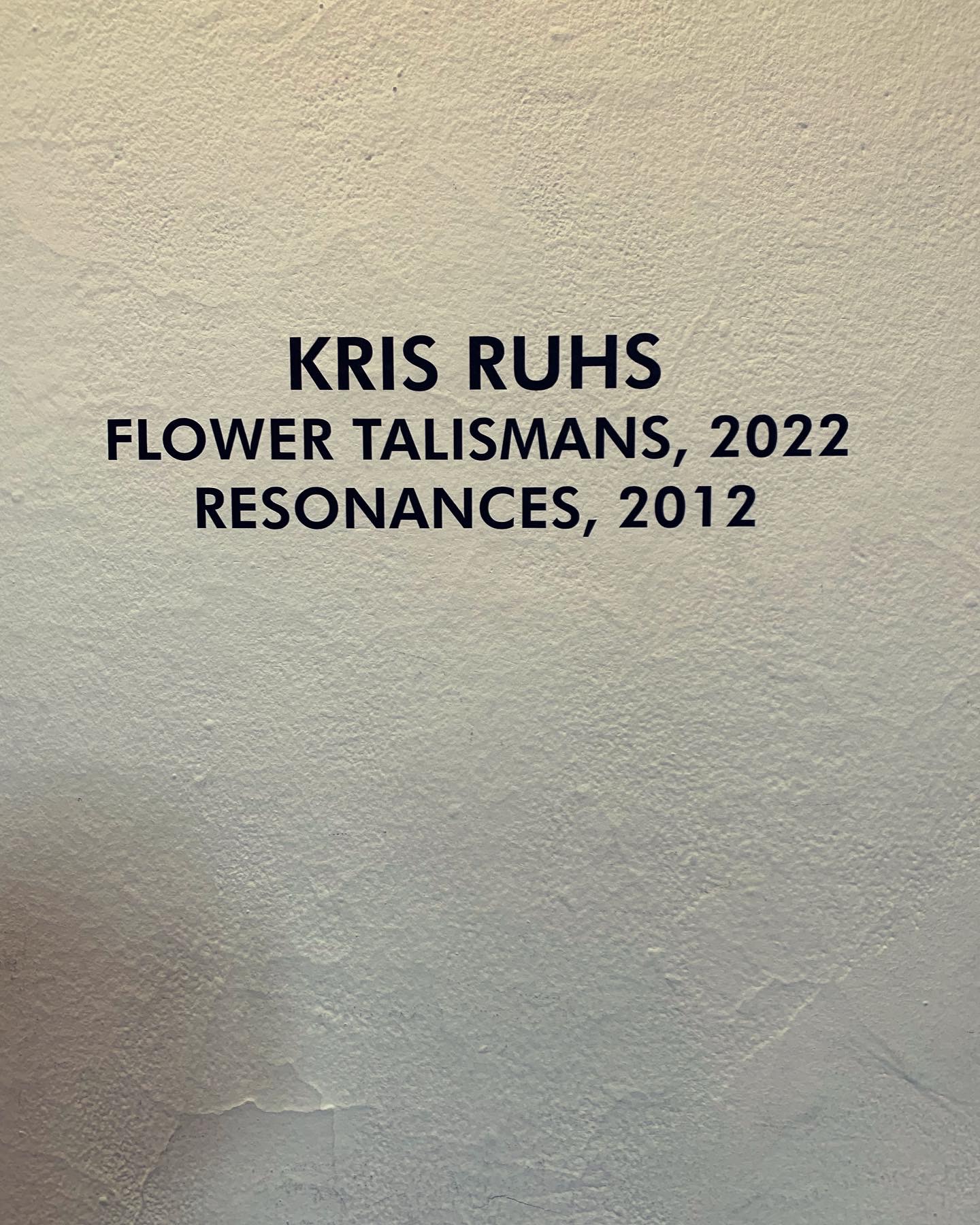 “Flower Talismans” di Kris Ruhs: Un’Esplorazione dell’Arte nel Caos